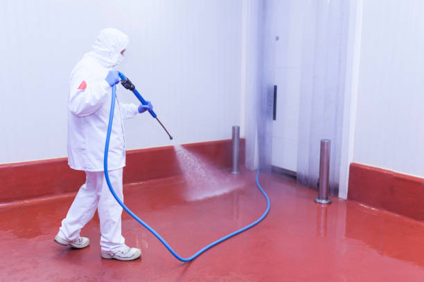 Best Playground Equipment Cleaning  in Baldwin, FL